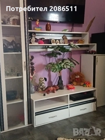 секция, снимка 1