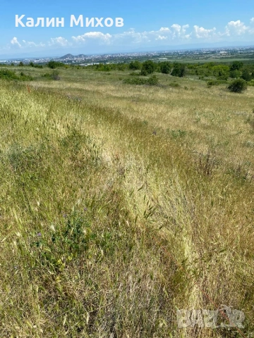 земеделска земя намираща в землището на село Белащица и Марково, снимка 15 - Земеделска земя - 52448452