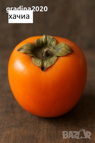  Райска ябълка Налични 4 сорта, снимка 2 - Разсади - 47222307