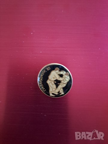 Значки на спортна тематика, снимка 2 - Колекции - 40573468