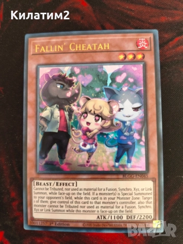 fallin' cheatah