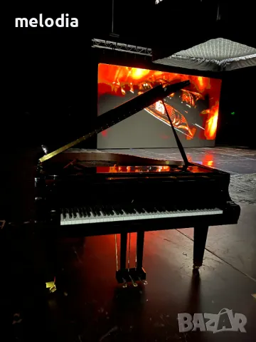 НОВИ рояли под наем за всякакви културни събития, снимка 3 - Пиана - 36256845