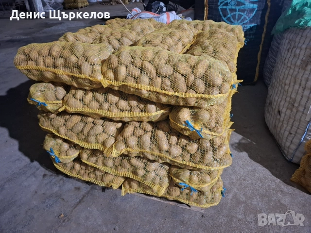 Картоф-СОРАЯ 0.30е