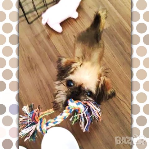 Играчка за куче Въже . Играчки за кучета. Играчка за кучета. Кучешки играчки. Аксесоари за кучета. , снимка 5 - За кучета - 34130389