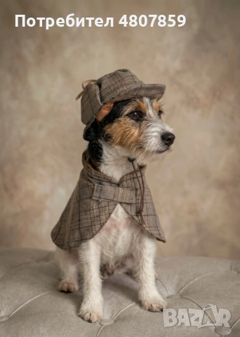 Комплект костюм за куче