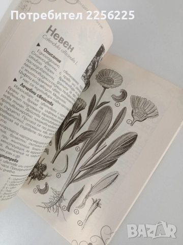 ЛОТ Билкарски книги, снимка 4 - Специализирана литература - 53875410