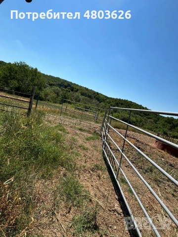 Мобилни прегради, снимка 5 - Крави - 54324953