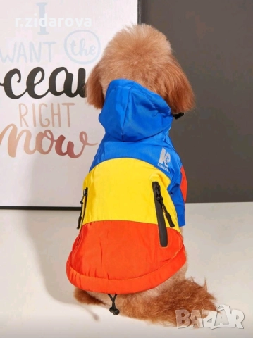 Водоустойчиво яке за малка порода кученце, снимка 3 - За кучета - 52096360