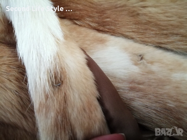 Винтидж луксозно дамско палто от естествен косъм – Baewolf Exclusive р-р M , снимка 9 - Палта, манта - 52879517