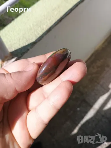 Натурален палмов камък, снимка 4 - Антикварни и старинни предмети - 50092366