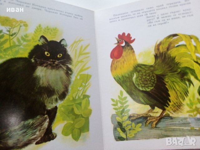 Пиленцето - Корней Чуковски - 1989г., снимка 4 - Детски книжки - 40001603