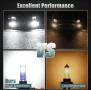 Led H11, H8 автомобилни крушки, снимка 3