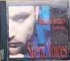 Krassimir Avramov – Silent Voices (1998) CD, снимка 1