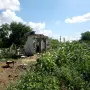 Парцел с овошки, снимка 13