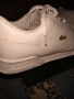 Lacoste оригинални.Супер качество и стил , снимка 1