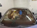 Затъмняване,полиране,защитно фолио, снимка 3