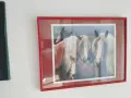 Картини за декорация коне 3 бр, снимка 4