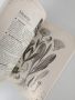ЛОТ Билкарски книги, снимка 4