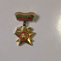 СТРОИМ ЗА РОДИНАТА -1986 г. бригадирски знак, снимка 1 - Антикварни и старинни предмети - 42850983