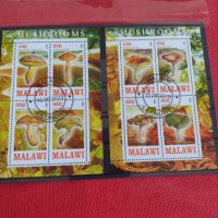 Пощенски марки чиста комплектна серия ГЪБИ 2013г. поща Малави за колекция 29802, снимка 8 - Филателия - 37689347