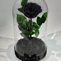 Подарък за рожден ден / Вечна Черна роза в ГОЛЯМА стъкленица / Оригинален подарък за нея, снимка 6 - Декорация за дома - 28355038
