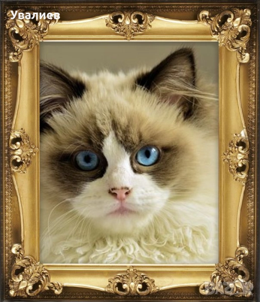 Магнитни стикери и самозалепващи, снимка 1