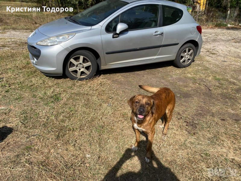 Пежо 207 peugeot 207 на части, снимка 1