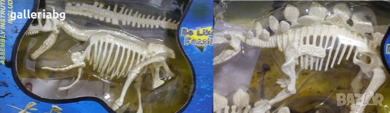 Фосили на динозаври, снимка 1