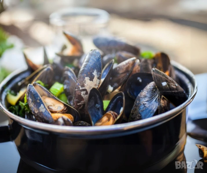 Емайлирана тенджера за миди 5 л, Ø22 см, за индукционни котлони, снимка 1