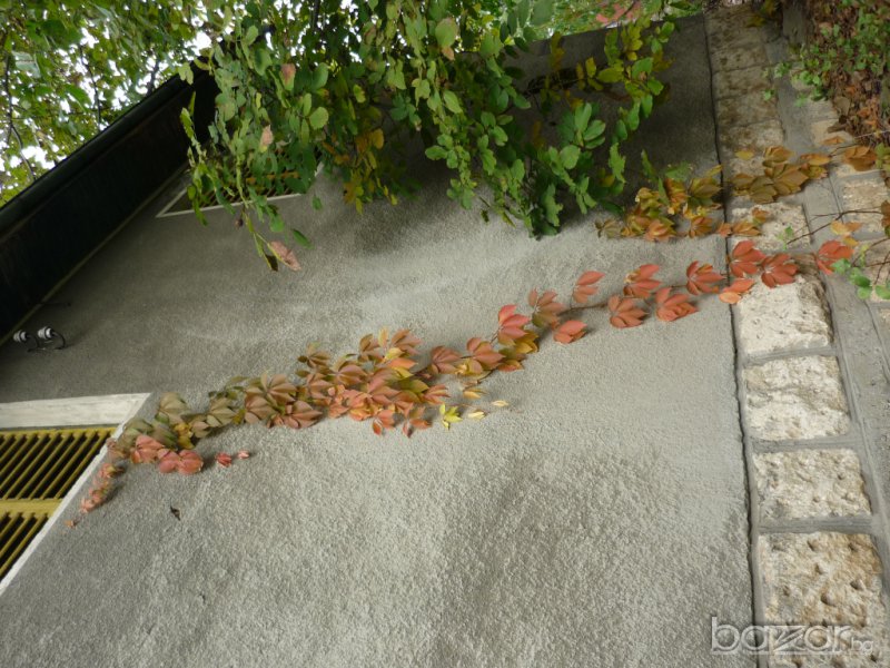 Villa for Sale in Ruse, Dolapite