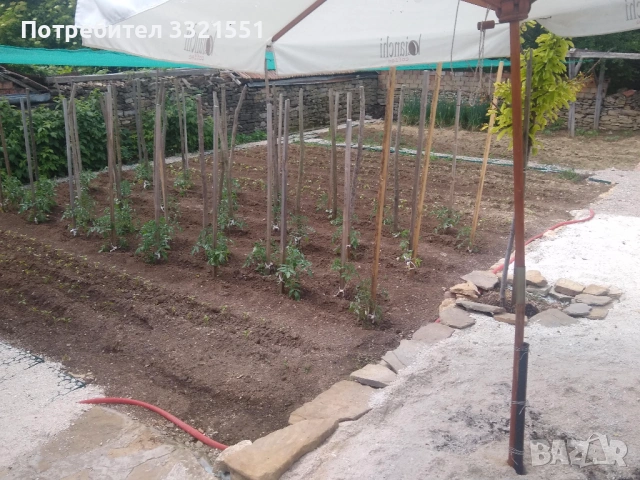 Продава къща 50 кв. м с двор 500 кв. м, снимка 5 - Къщи - 53207608