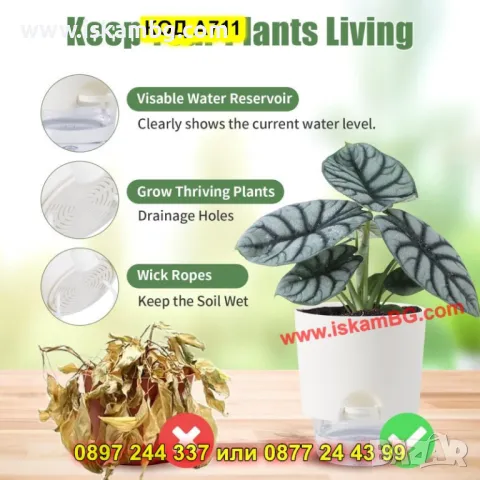 Саксия с функция за самополиване и резервоар - КОД А711, снимка 11 - Саксии и кашпи - 50317086