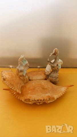 Фантазии, ръчна изработка с морски раковини, снимка 13 - Ръчно изработени сувенири - 42314530