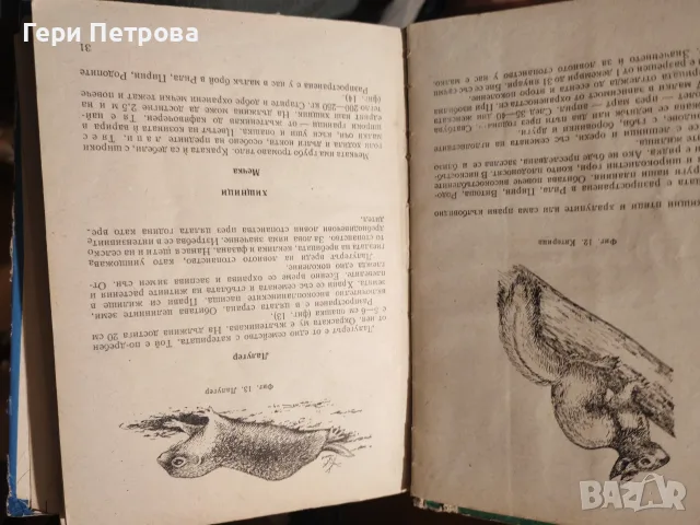 Наръчник на ловеца и риболовеца“, съставено от авторски колектив, снимка 3 - Специализирана литература - 56134168