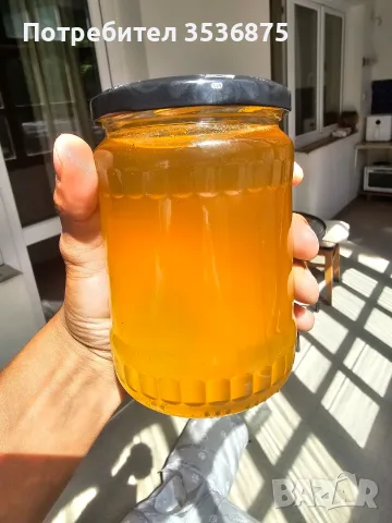 🍯🌲 НАТУРАЛЕН ГОРСКИ ПЧЕЛЕН МЕД  🌲🍯, снимка 2 - Пчелни продукти - 56139426