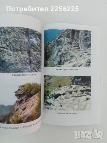 Свещения лес на бесите, снимка 3 - Художествена литература - 51462075