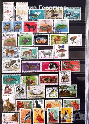 Животни 158бр.марки К.1, снимка 4 - Филателия - 48989976