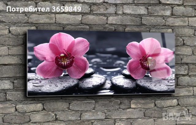 Картини от принт стъкло, снимка 18 - Картини - 52668805