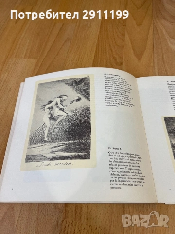 Книга за Гоя (Испански език), снимка 3 - Енциклопедии, справочници - 54242896