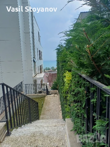 Косене на трева.Почистване на дворни места от храсти , дървета , снимка 7 - Други услуги - 50491395