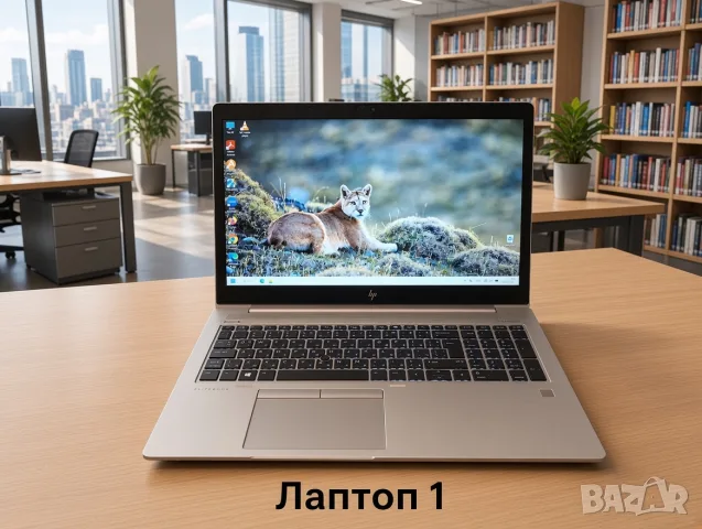 Лаптопи с Windows (Готови за употреба)