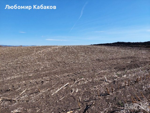 Земеделска земя 7500 кв. м. с. Храбърско, Софийска област, снимка 2 - Земеделска земя - 36662628