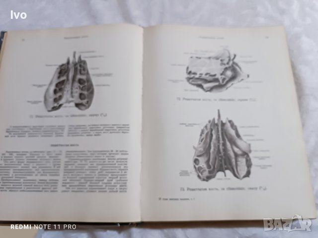 Anatomichen atlas senelnikov, снимка 3 - Антикварни и старинни предмети - 40853587