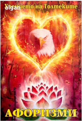 Учението на Толтеките Афоризми, снимка 1
