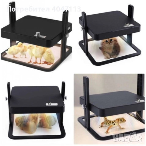 Нагревателна плоча за пиленца – регулируема температура, безопасност и енергийна ефективност, снимка 5 - Други - 51441860