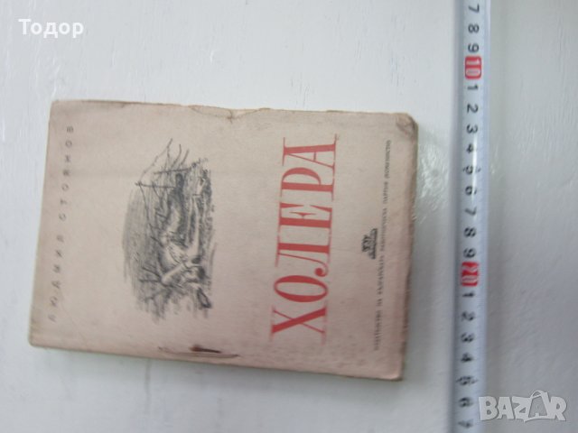 Книга Холера Войнишко издание , снимка 2 - Художествена литература - 31214818