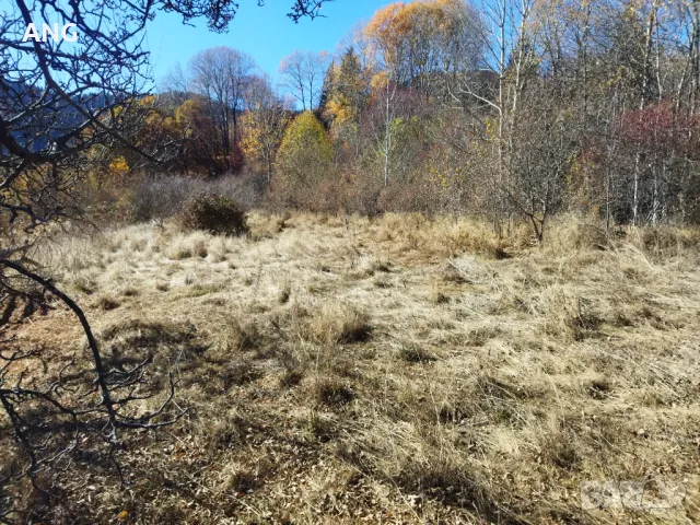 Продава панорамен парцел Смолянски езера , снимка 5 - Парцели - 48047132