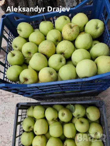 Круши, Ябълки,Мед и Сокове , снимка 13 - Домашни продукти - 56258345