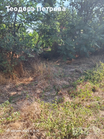 Парцел със стара къща за събаряне, снимка 3 - Парцели - 41017971