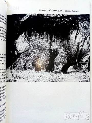 Защитените природни обекти в НР България - 1981г., снимка 3 - Други - 52938867